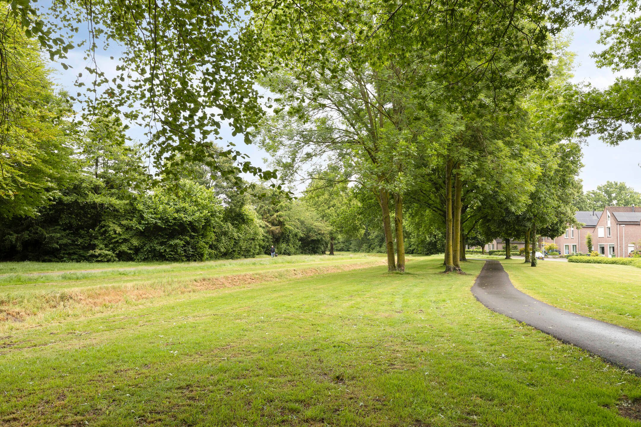 Photo 24 of Witvrouwsberg 21