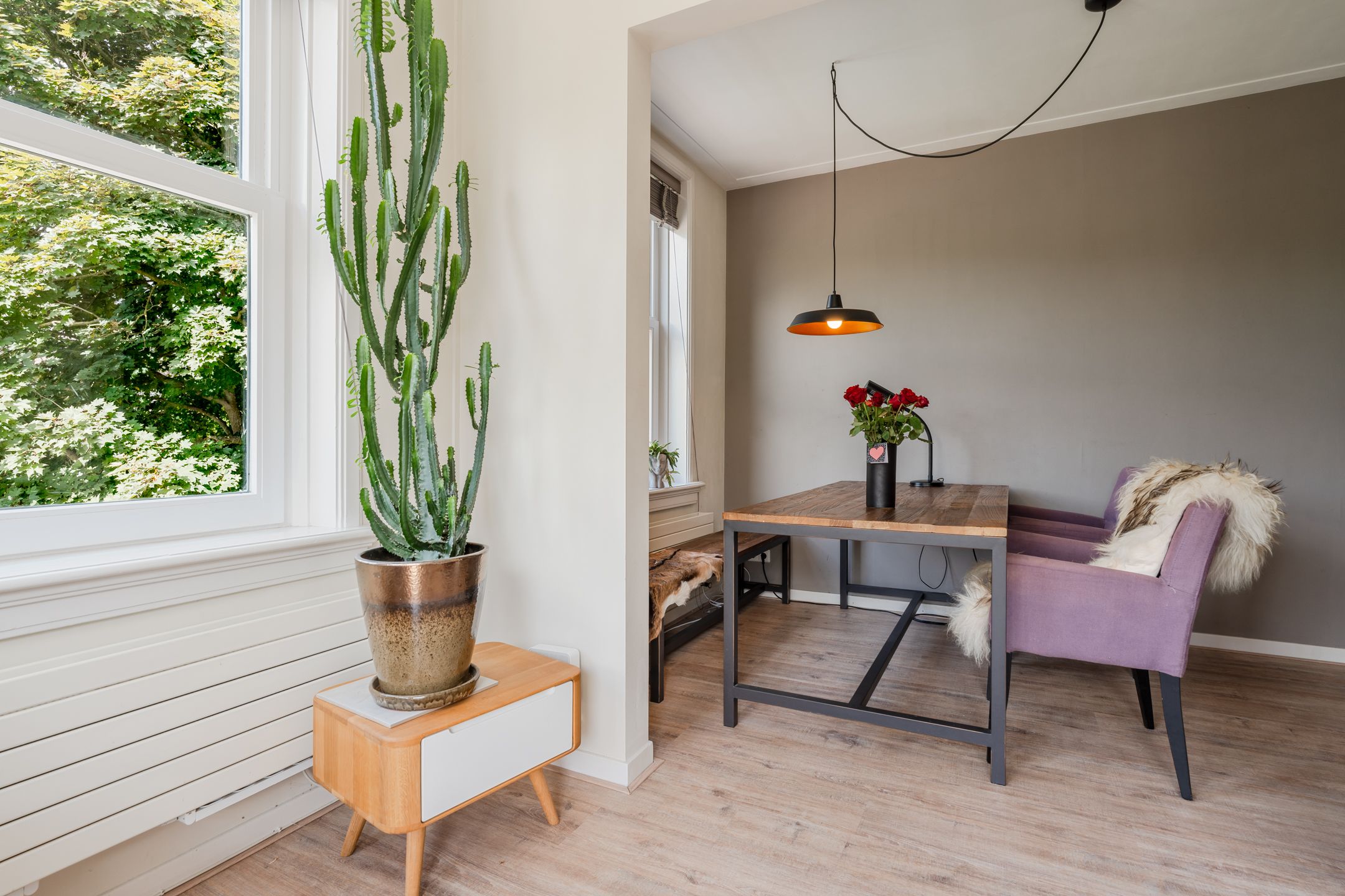 Foto 3 van Theophilusstraat 1-2