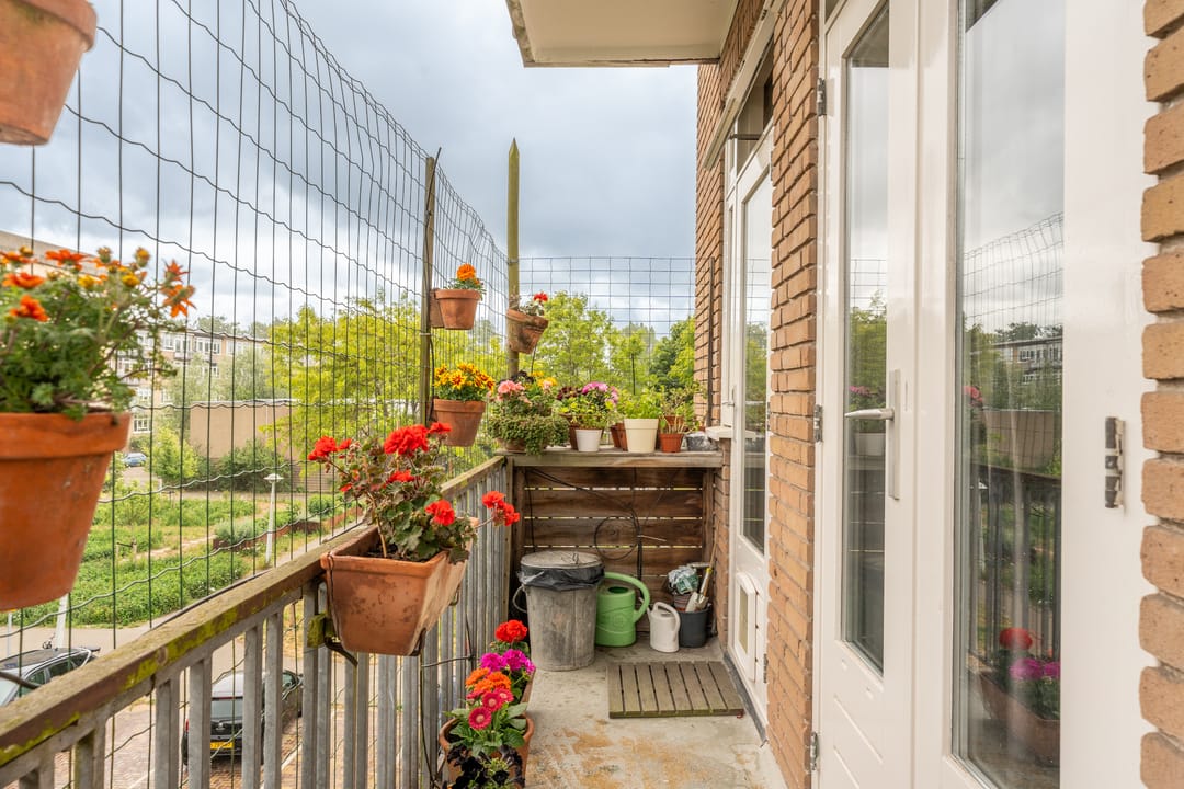 Foto 22 van Theophilusstraat 1-2