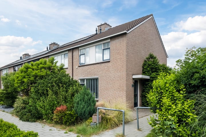 undefined main image