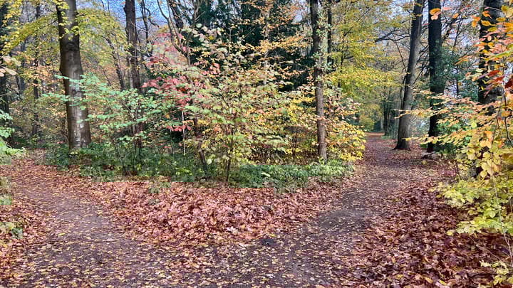 Foto 13 van Colenso 16