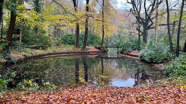 Foto 14 van Colenso 16