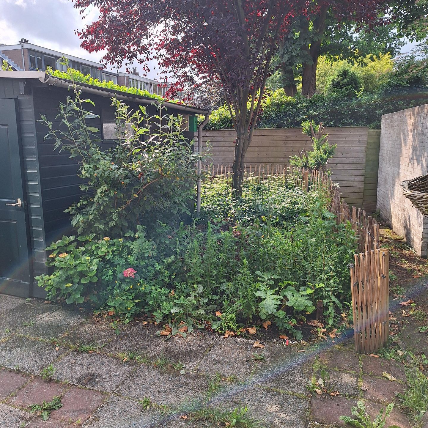 Foto 4 van Ternatestraat 2