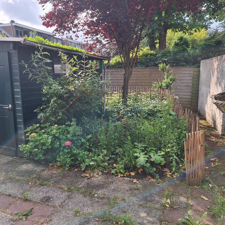 Foto 4 van Ternatestraat 2