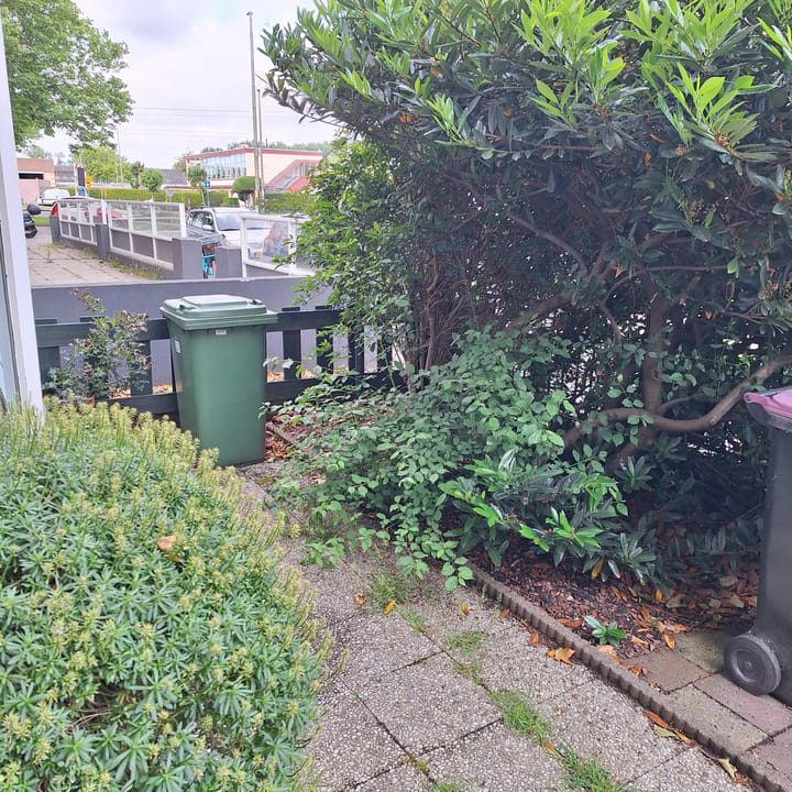 Foto 5 van Ternatestraat 2