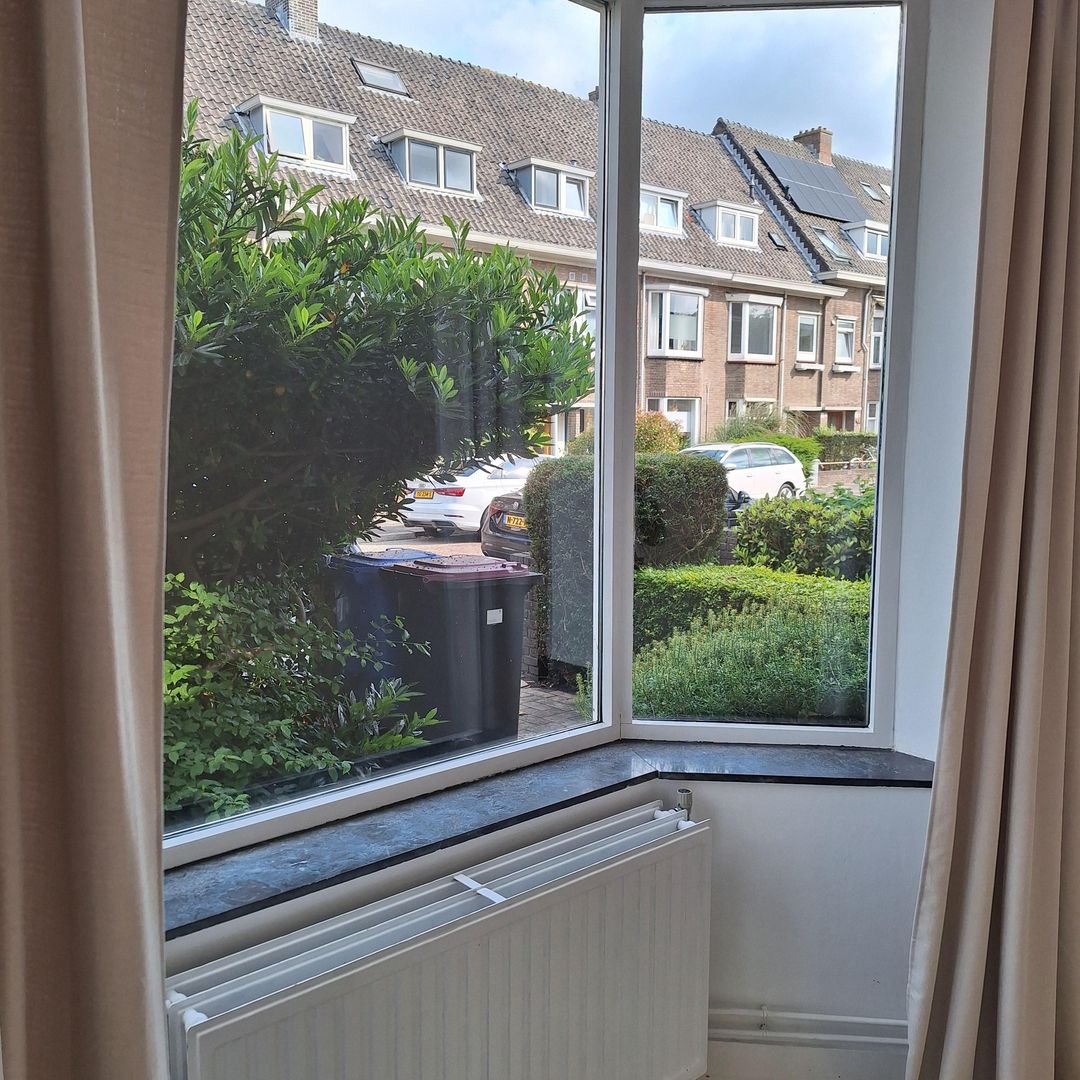 Foto 16 van Ternatestraat 2