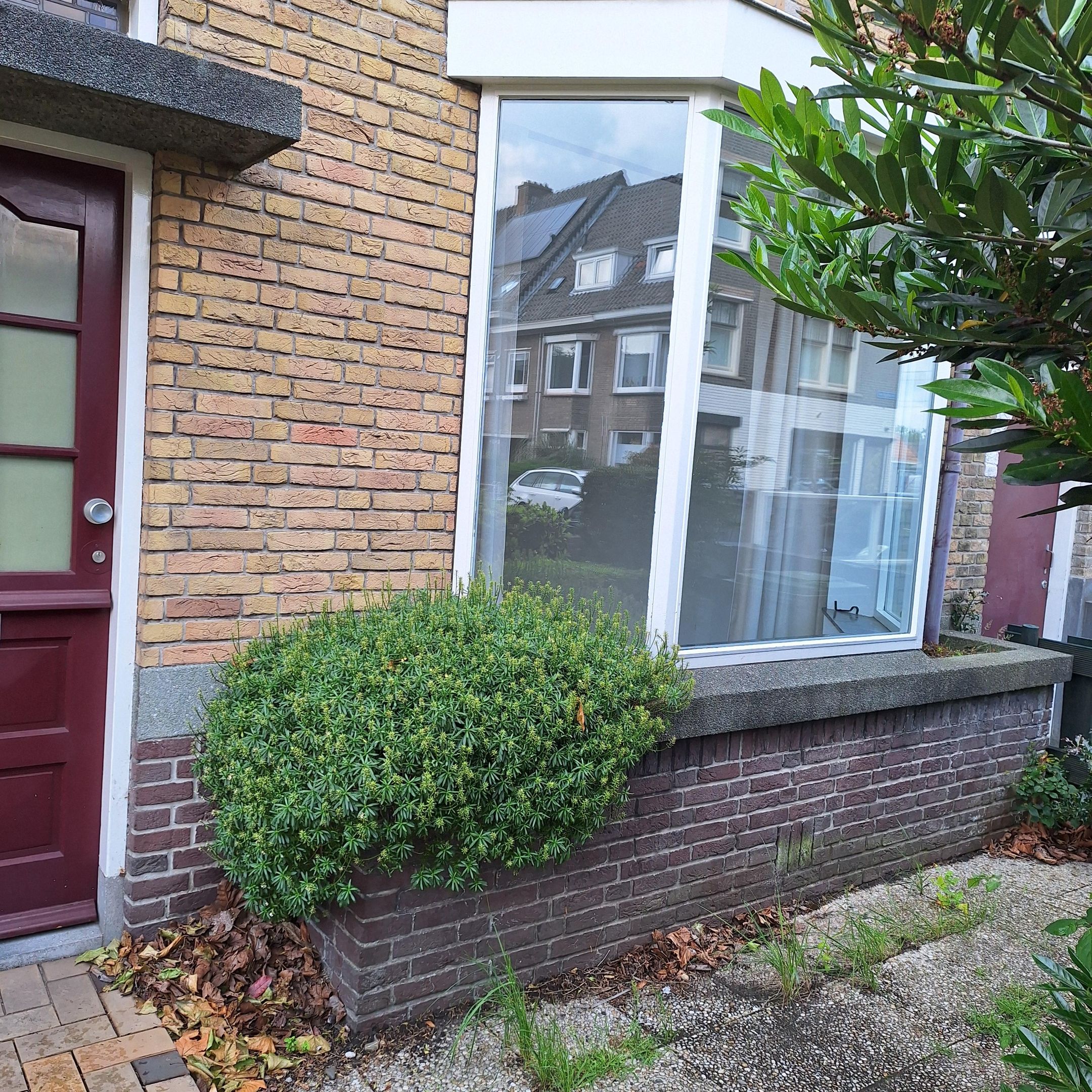 Foto 39 van Ternatestraat 2