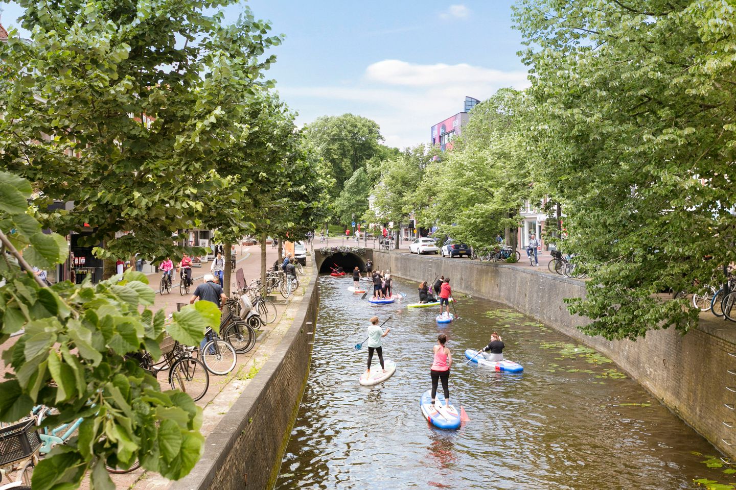 Bekijk foto 4 van Nieuwestad 34