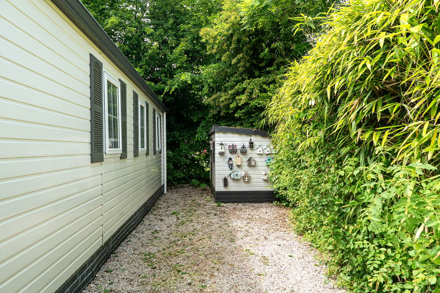 Foto 20 van Yn 'e Lijte 1-54