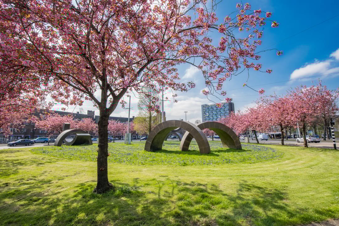 Foto 23 van Rhijnvis Feithstraat 16-1