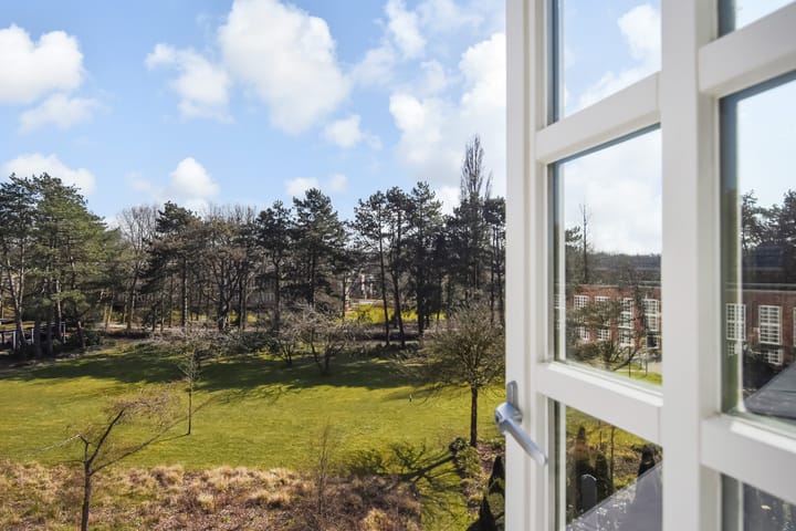 Foto 26 van Thérèse Schwartzestraat 113