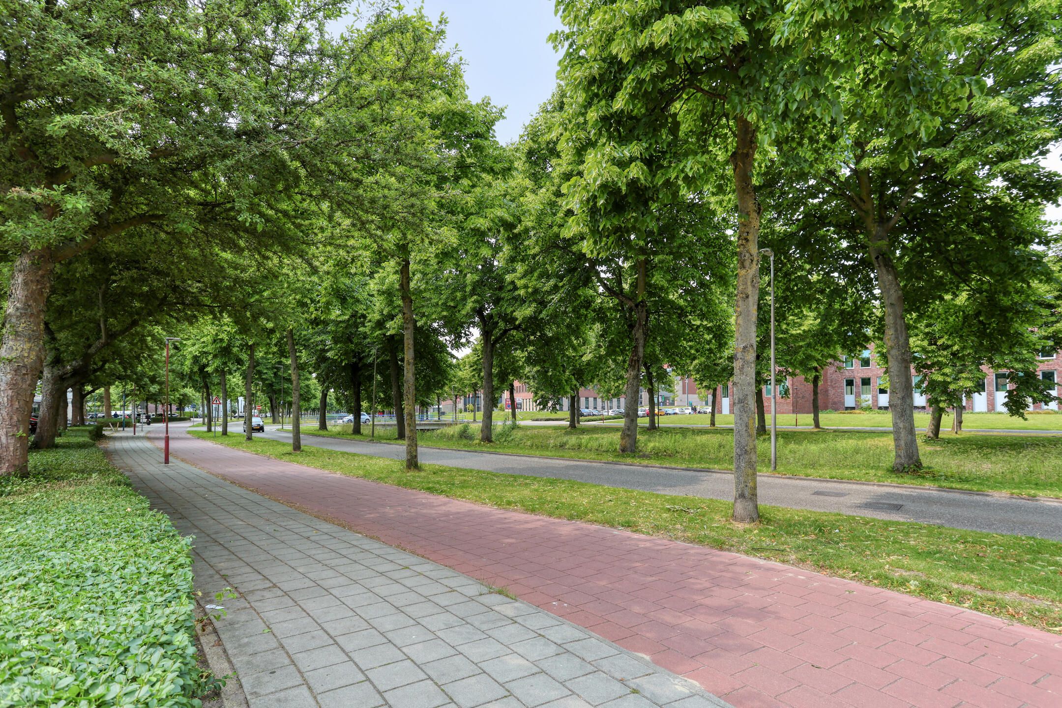 Foto 21 van Quirinegang 149