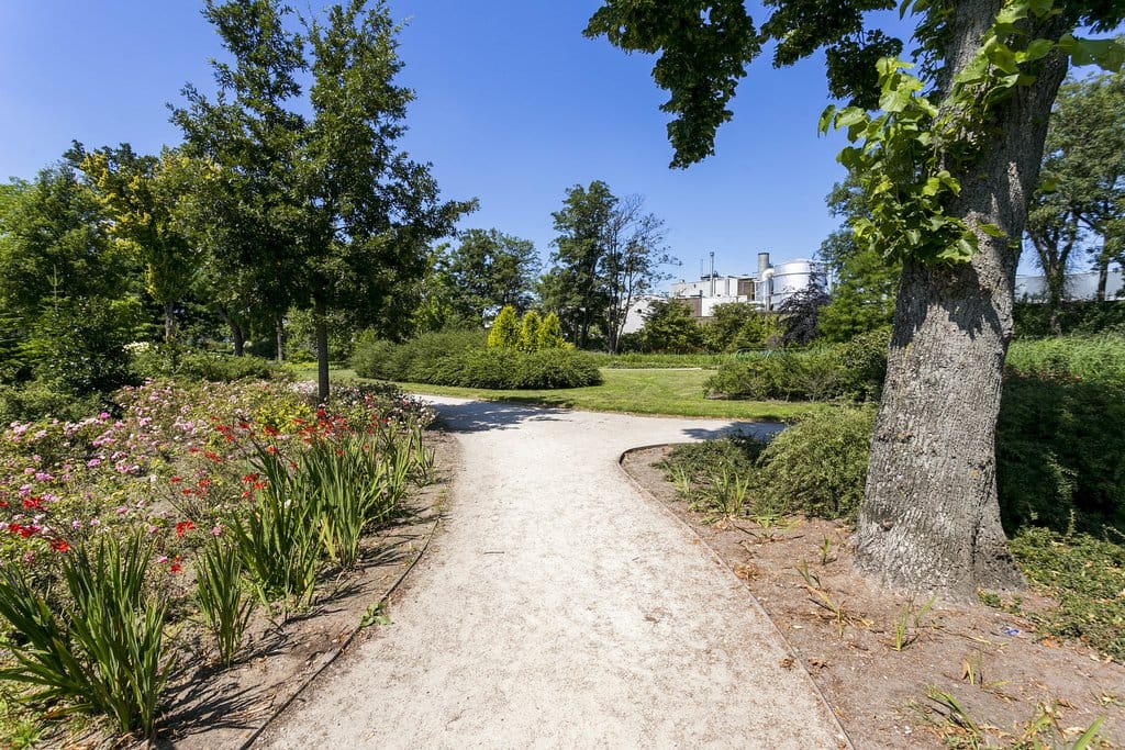 Foto 35 van Reigerstraat 48