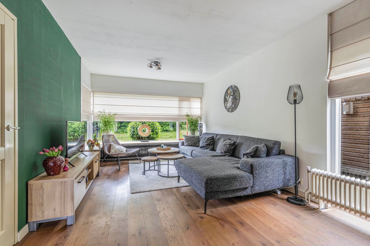 Photo 5 of Hunze 171