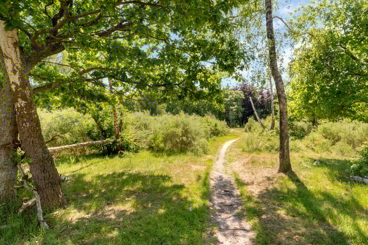 Foto 20 van Kolhornseweg 150