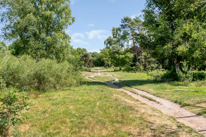 Foto 21 van Kolhornseweg 150