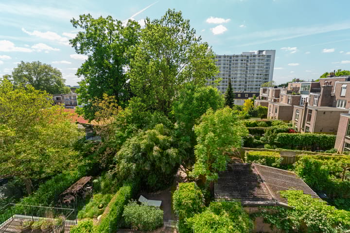 Foto 51 van Alexanderstraat 86