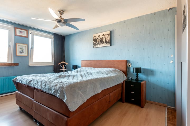 Photo 13 of Botter 42 8