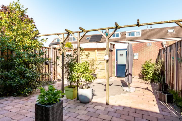 Photo 26 of Botter 42 8