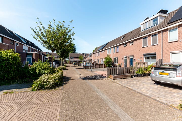 Photo 27 of Botter 42 8