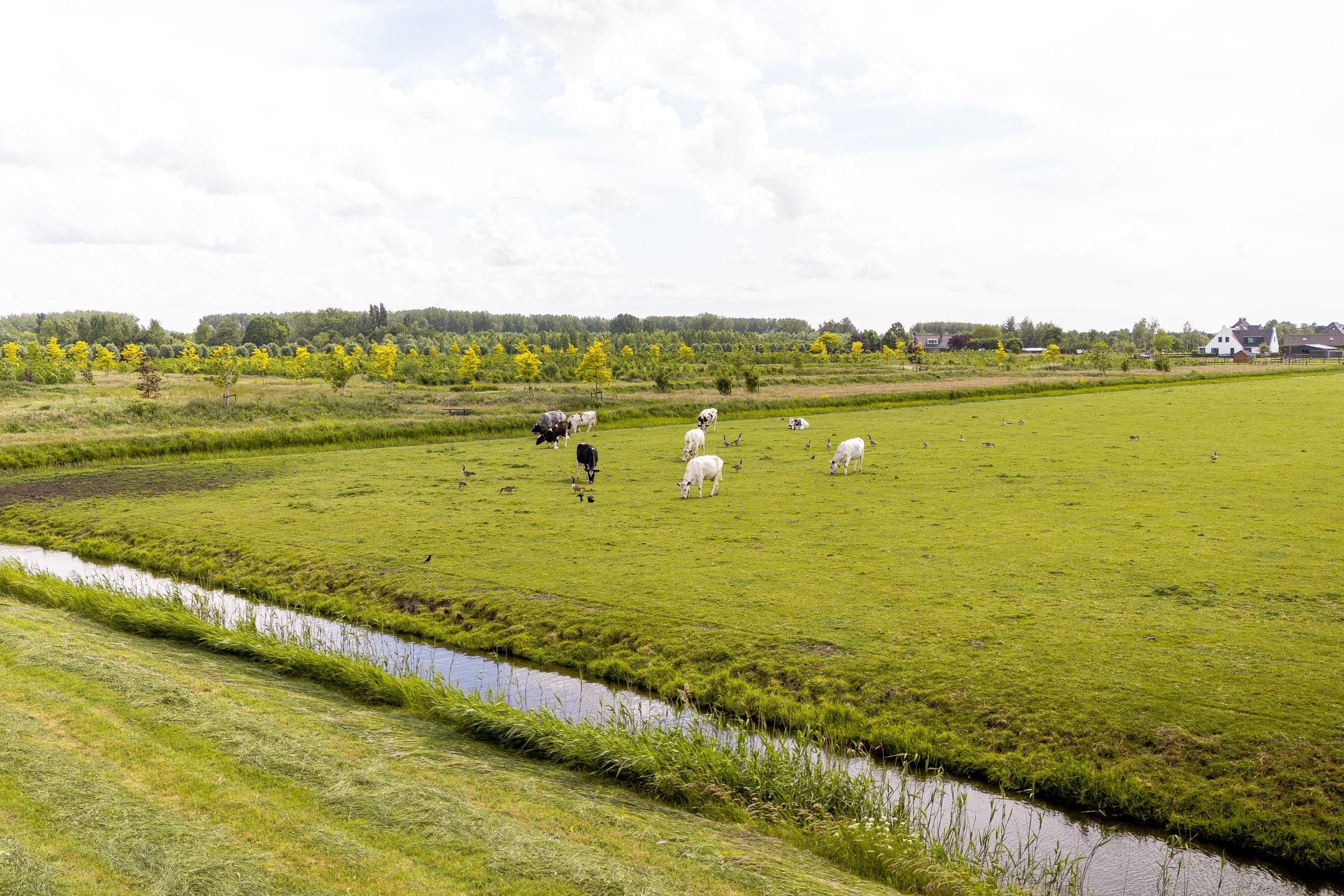 Foto 33 van Laan van Floris de Vijfde 18