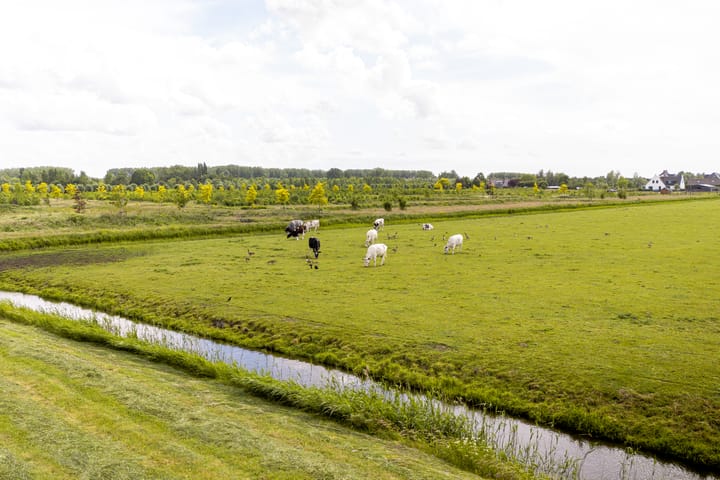 Foto 33 van Laan van Floris de Vijfde 18