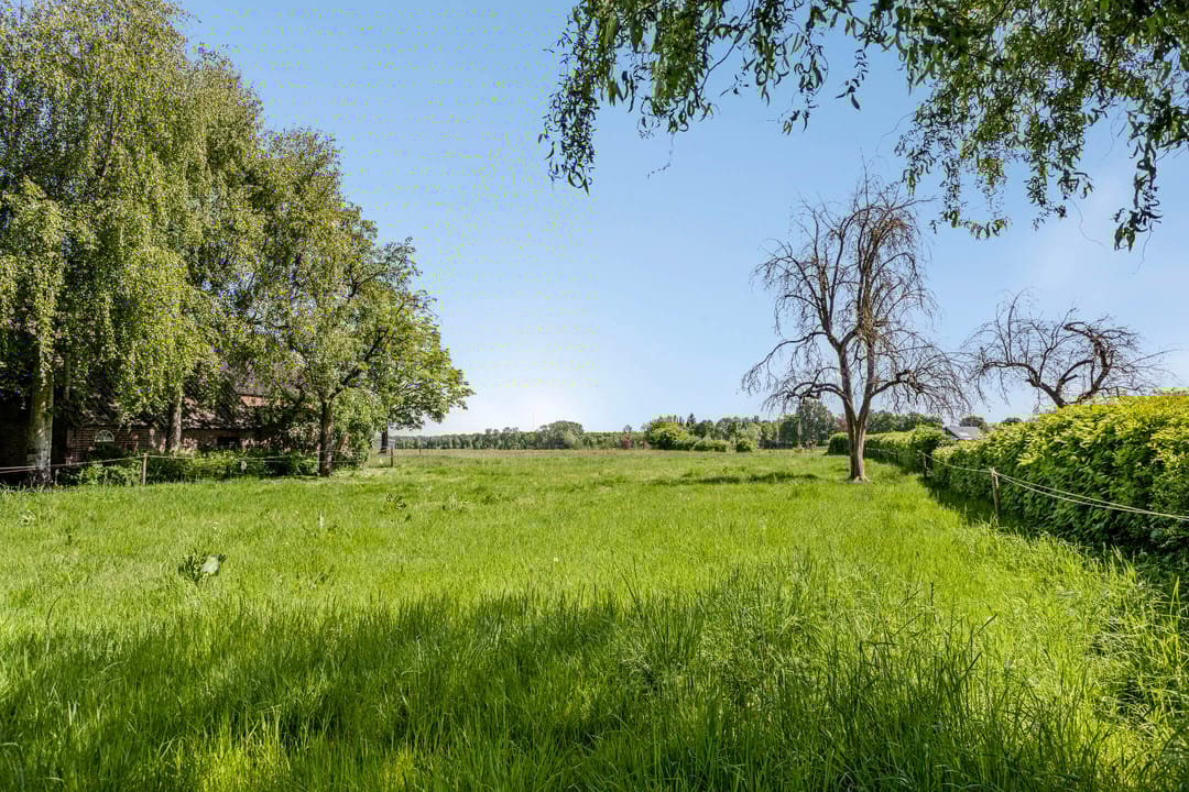 Foto 23 van De Stad 5