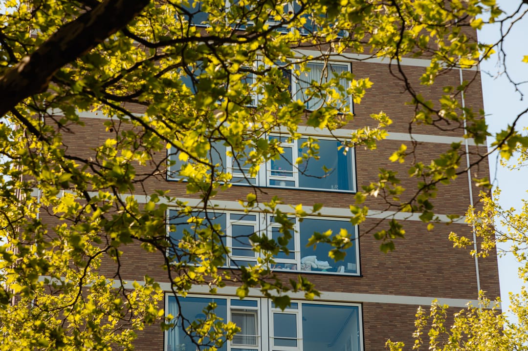 Photo 17 of Maassluisstraat 52