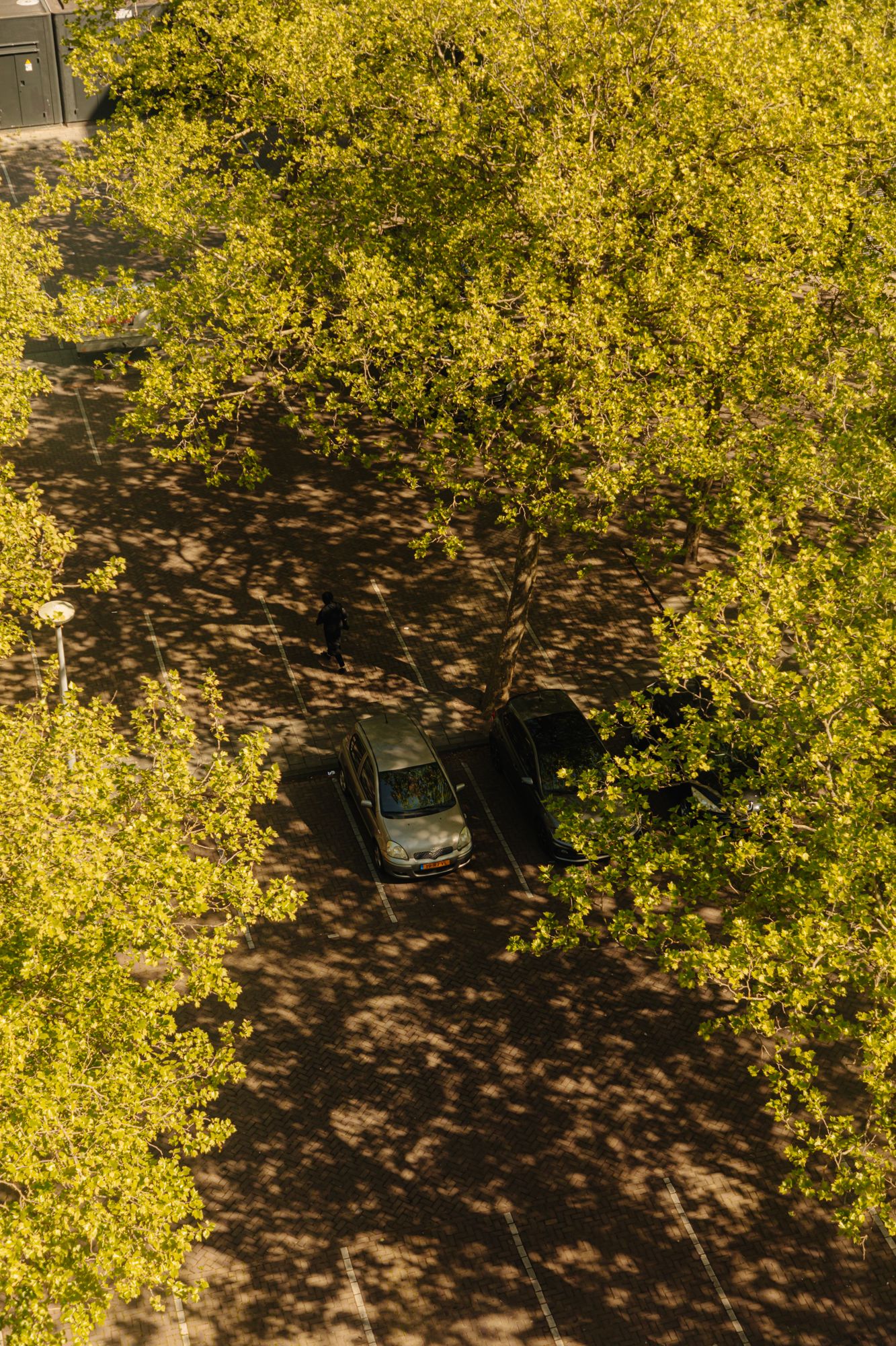 Photo 19 of Maassluisstraat 52