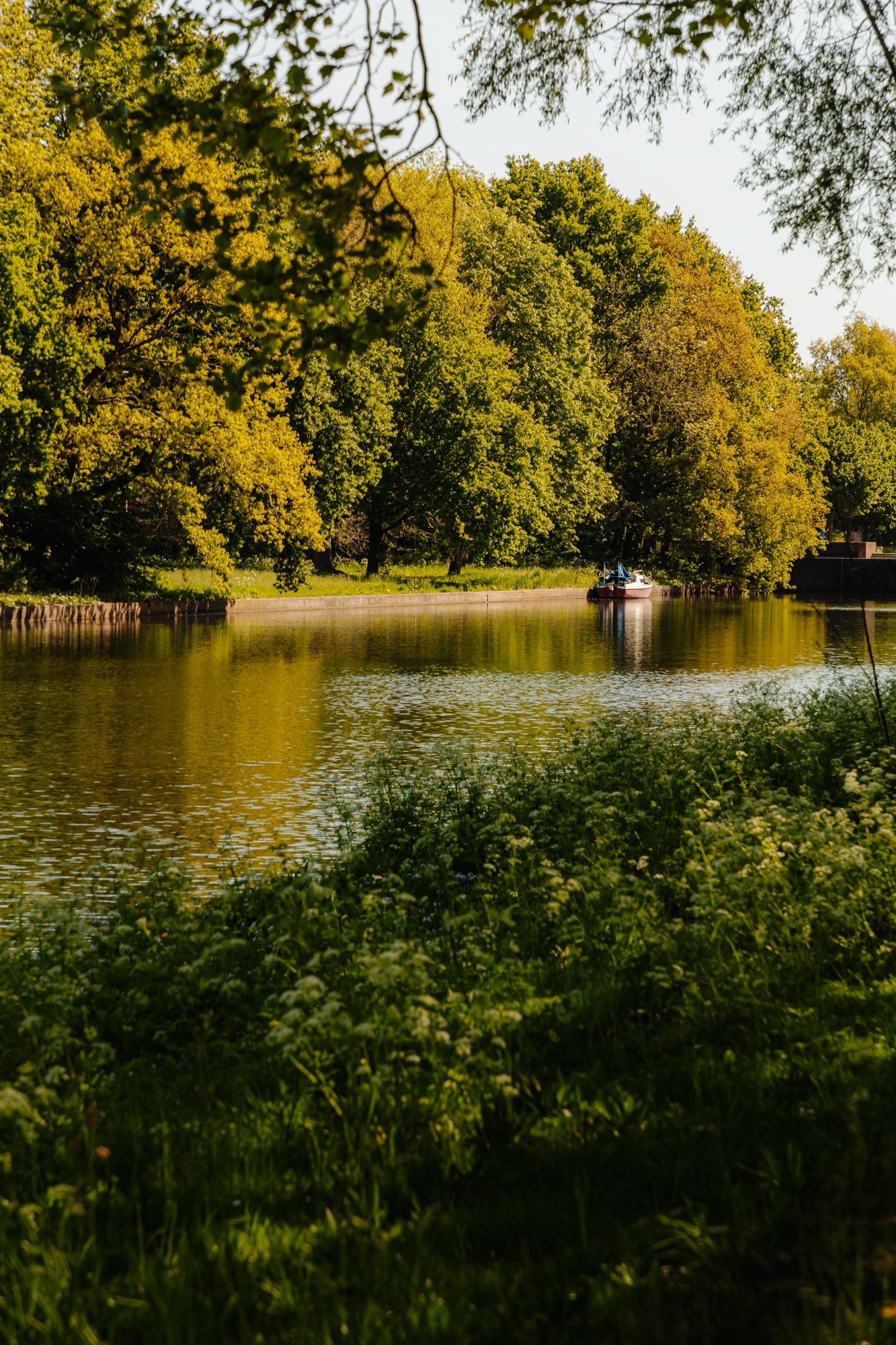 Photo 20 of Maassluisstraat 52