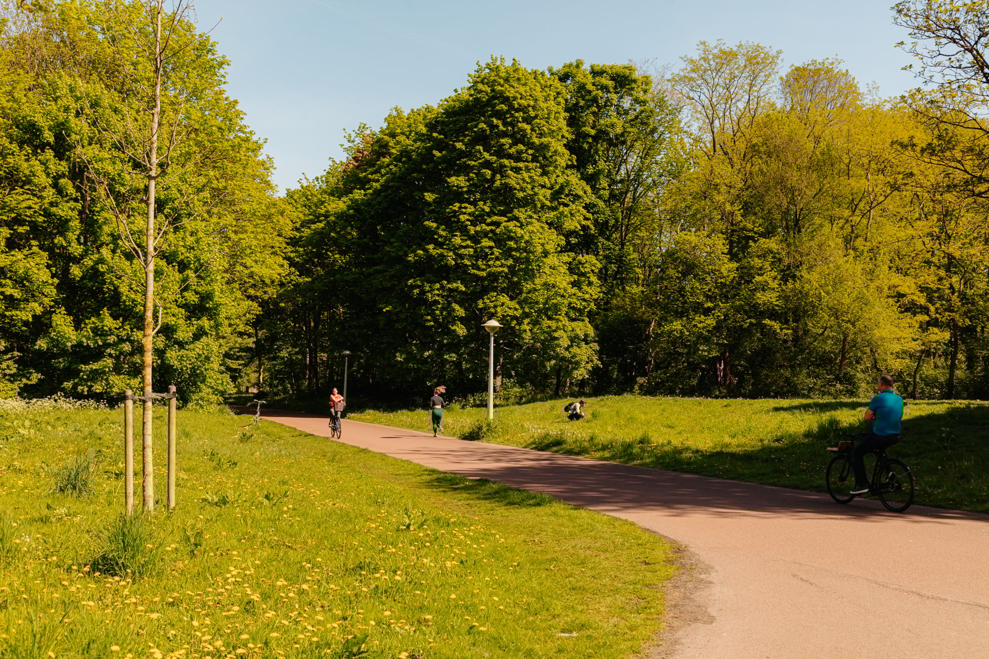 Photo 21 of Maassluisstraat 52