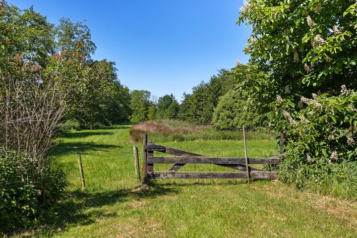 Foto 5 van Het Zuid 16