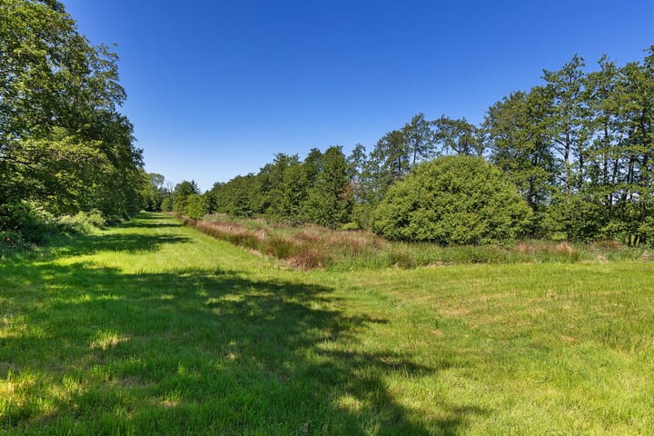 Photo 11 of Het Zuid 16