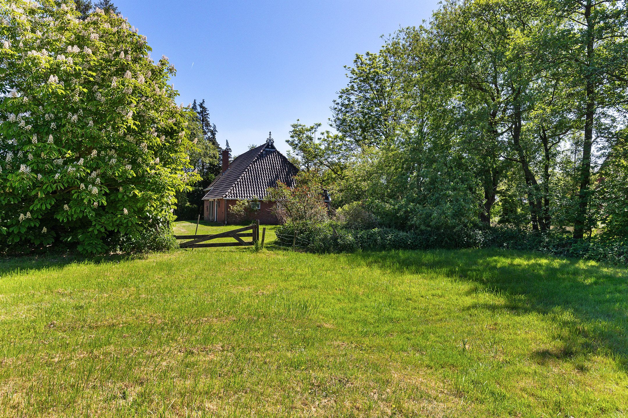 Foto 12 van Het Zuid 16