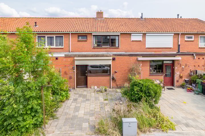 undefined main image