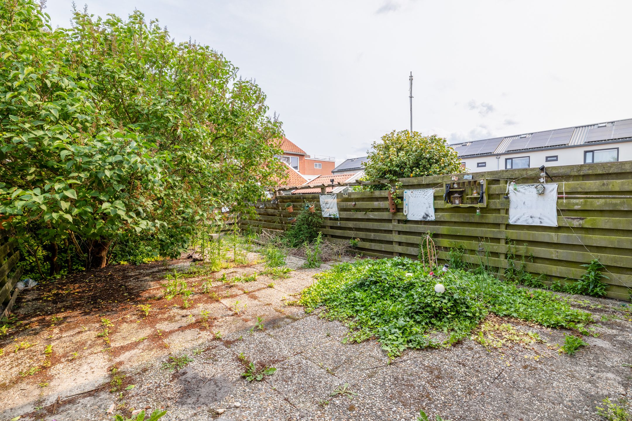 Foto 18 van Hazelaarstraat 20