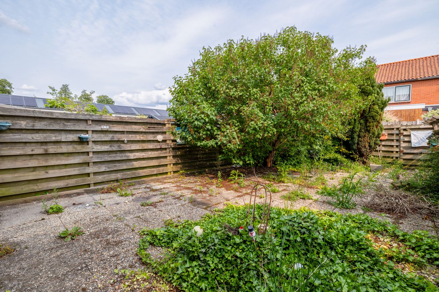 Foto 19 van Hazelaarstraat 20