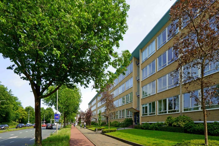 Segbroeklaan 564