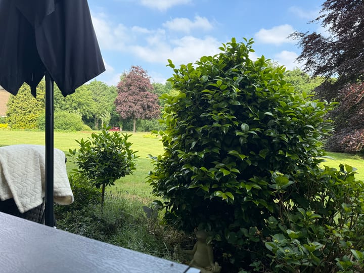 Photo 8 of Soestdijkseweg Zuid 87-A29