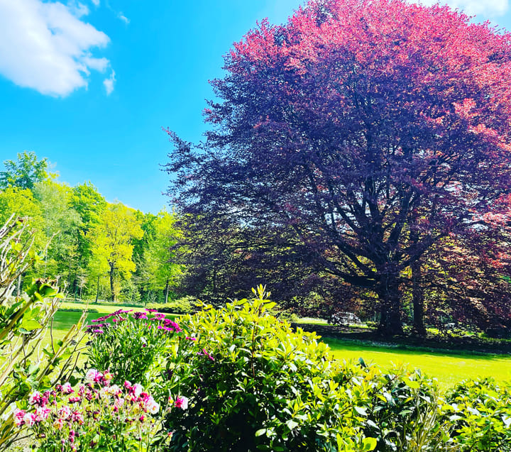 Photo 9 of Soestdijkseweg Zuid 87-A29