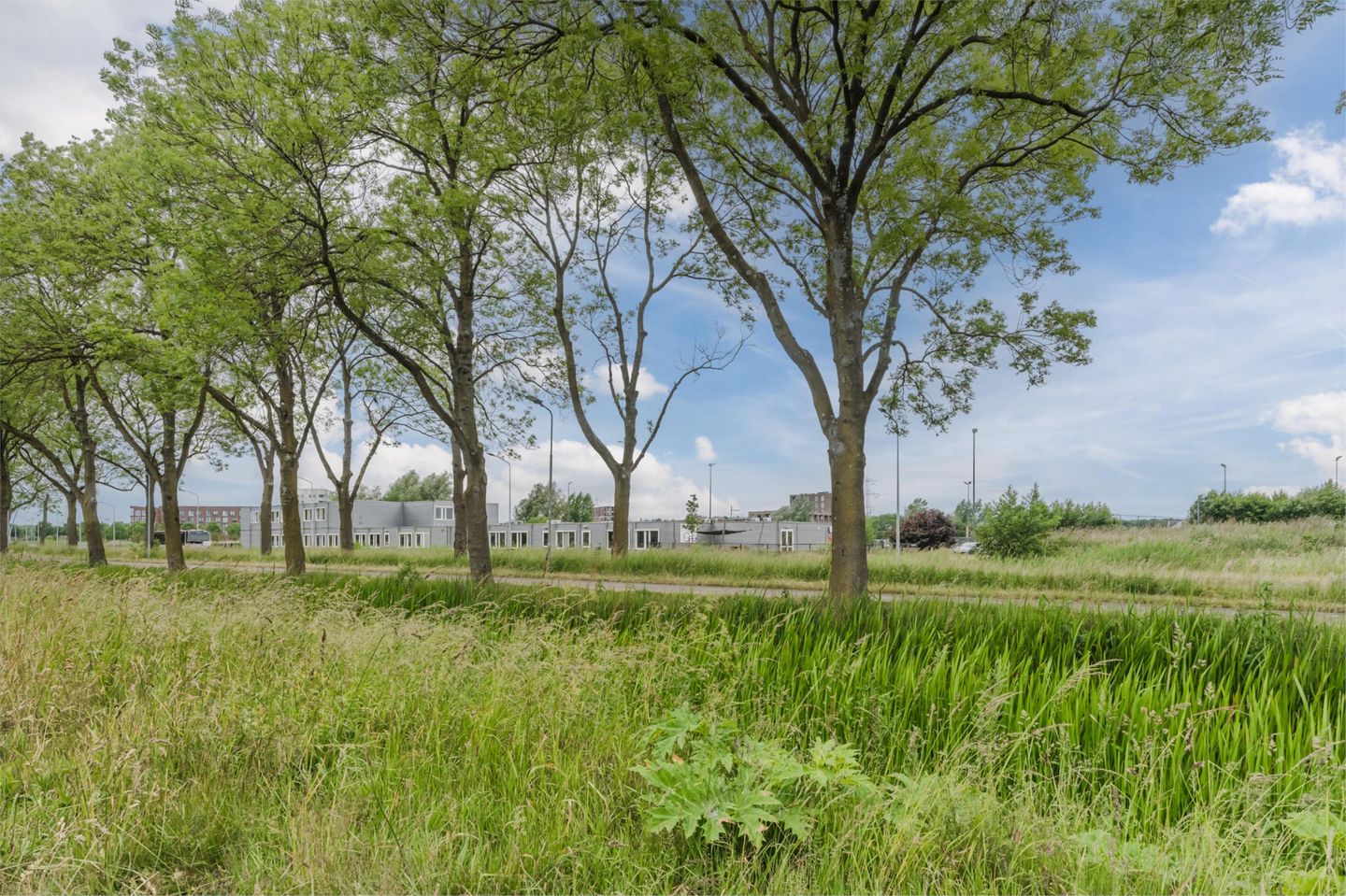 Photo 4 of Meester Ceelensingel 22