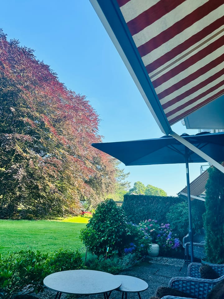 Photo 13 of Soestdijkseweg Zuid 87-A29