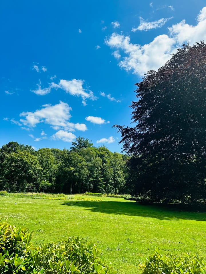 Photo 18 of Soestdijkseweg Zuid 87-A29