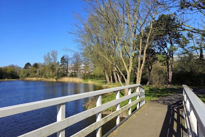 Foto 20 van Segbroeklaan 564