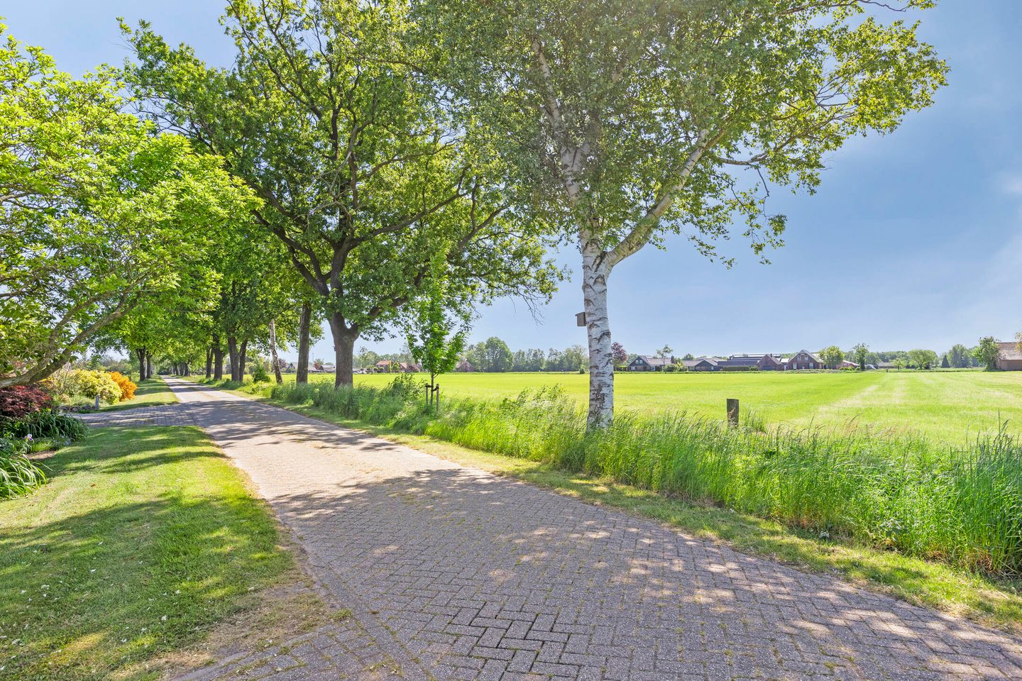 Photo 5 of Potronsdijk 3