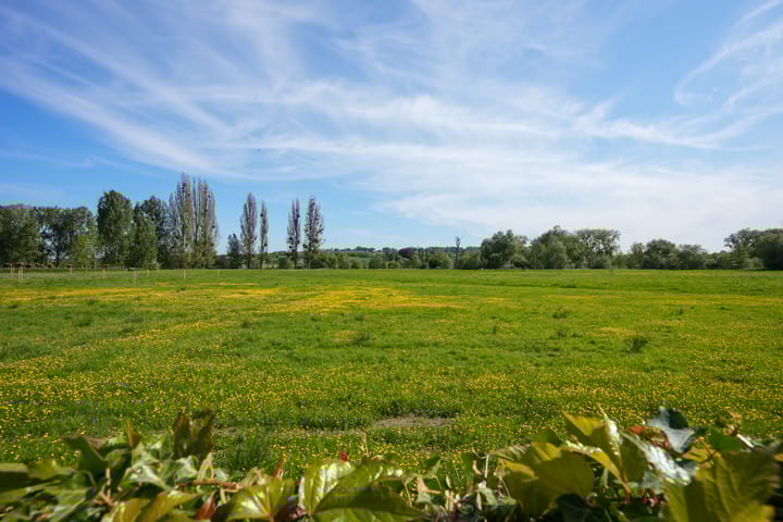 Photo 39 of In het Diepe Broek 15