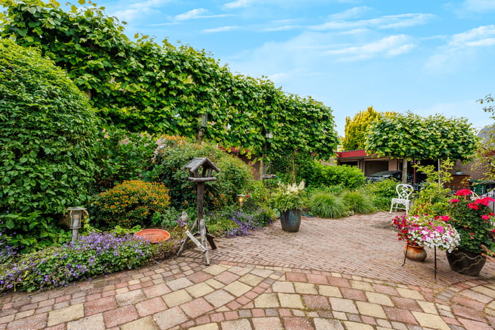 Foto 4 van Damlust 8