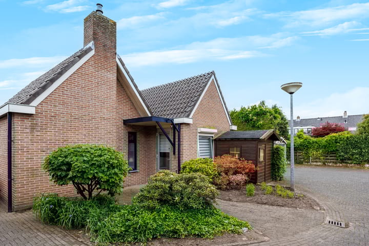 Foto 22 van Damlust 8