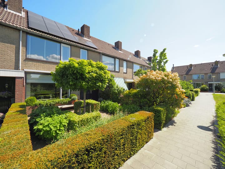 Foto 3 van Walmolen 55