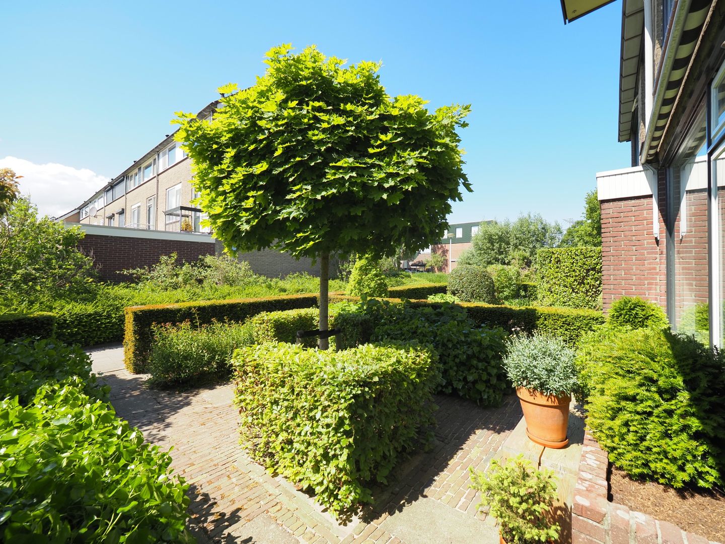 Foto 4 van Walmolen 55